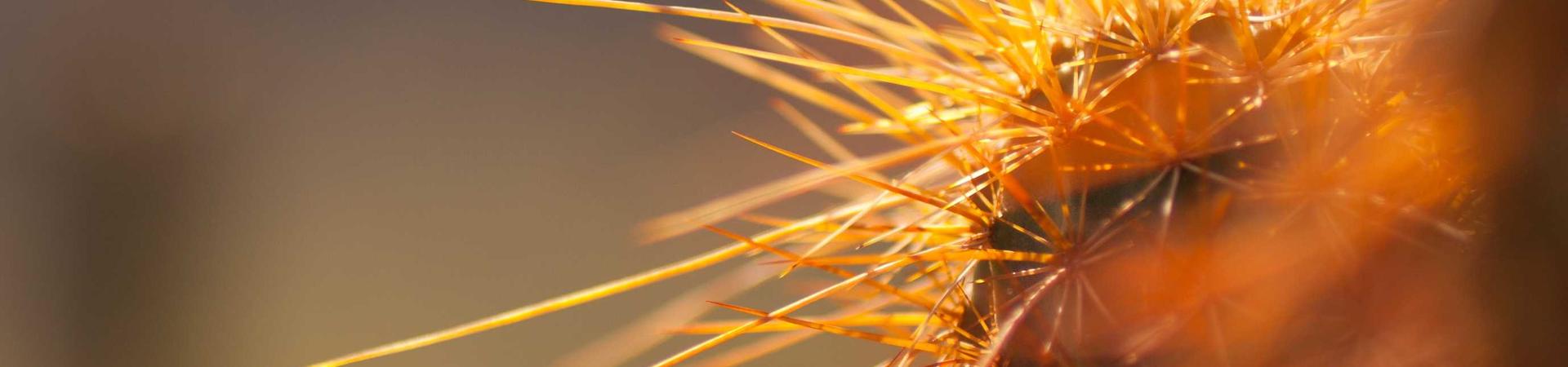 沧州路宽交通设施有限公司 &middot; 椒江运营中心